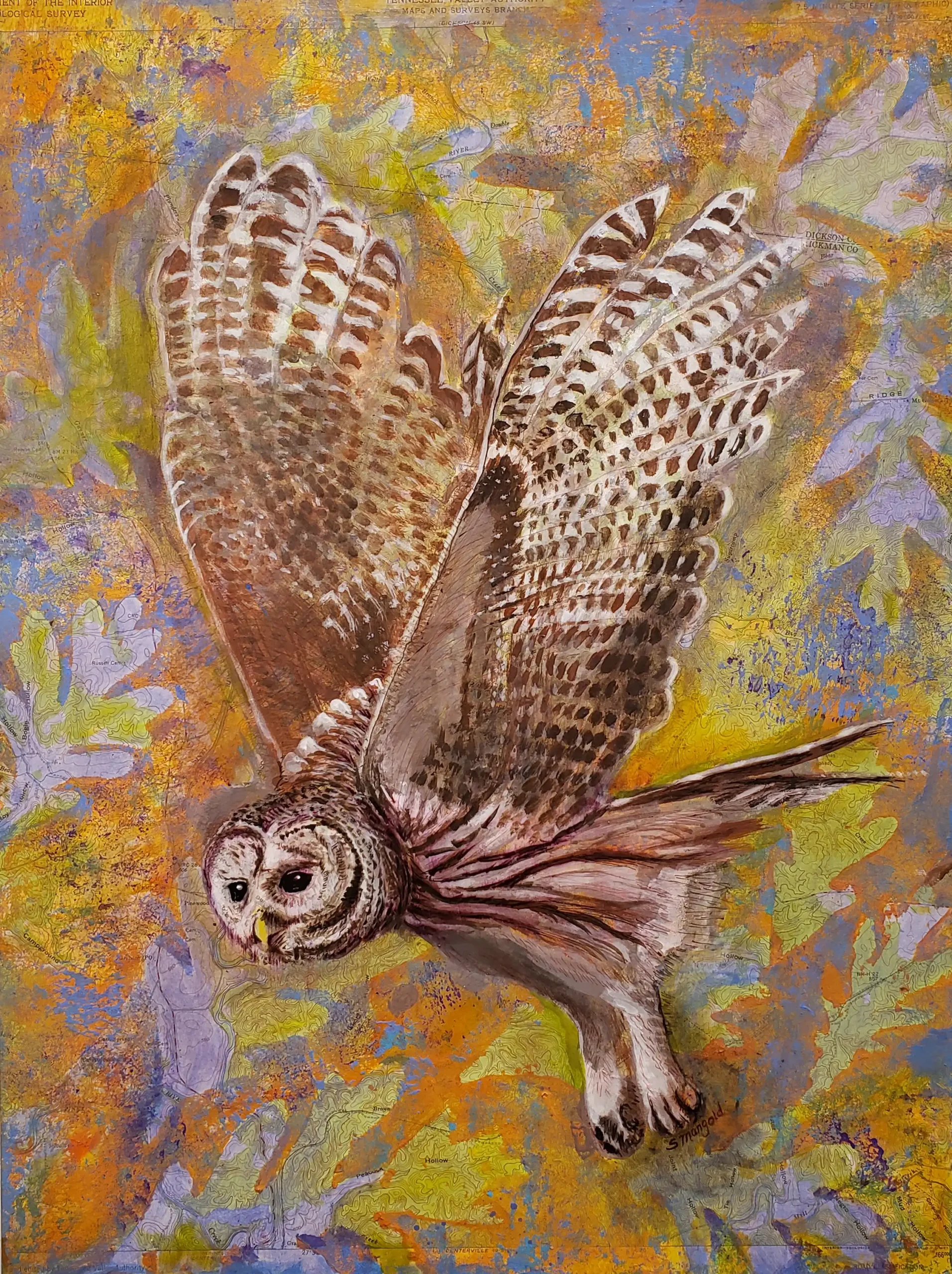 Owl artwork