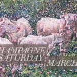 Champagne Saturday with Margaret Scanlan