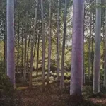 A painting in impressionistic style of a French forest by Margaret Scanlan