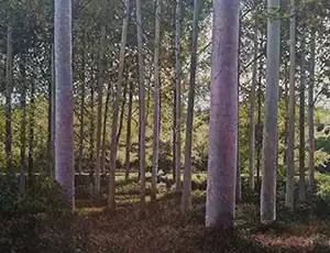 A painting in impressionistic style of a French forest by Margaret Scanlan